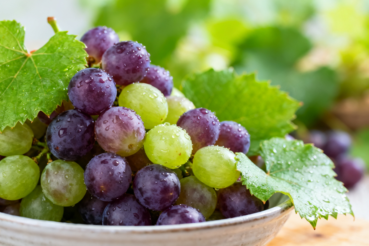 Grape Diet